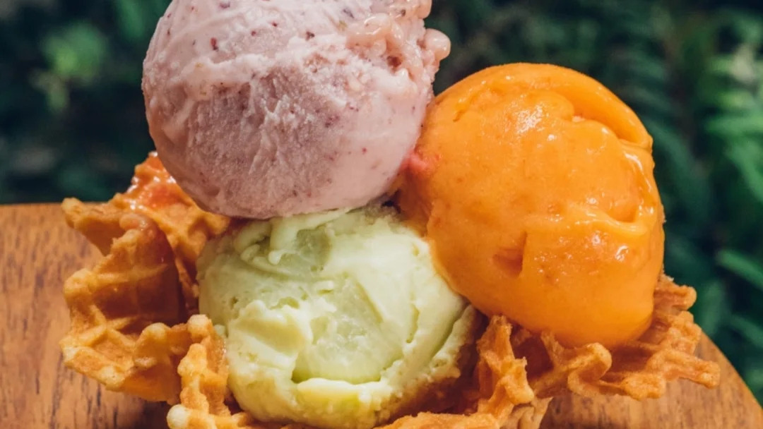 Foto de Albero Dei Gelati